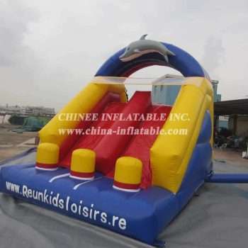 T8-987 Dolphin Inflatable Slide