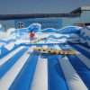 T11-570 jungle theme Inflatable Sports - Image 5