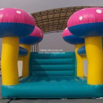 T1-142 inflatable bouncer