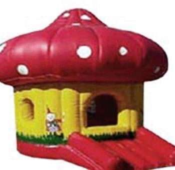 T1-151 inflatable bouncer