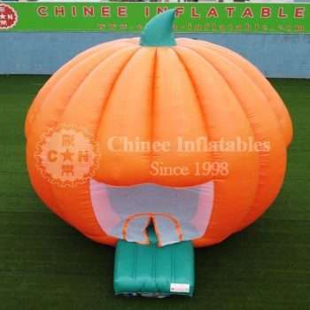 DCIM101MEDIADJI_0613.JPG