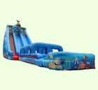 Giant Slide