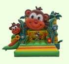 Inflatable Bouncer