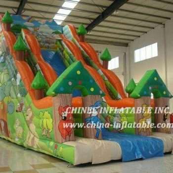 Inflatable Dry Slide