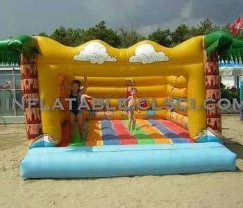 T2-1082 Inflatable Bouncer