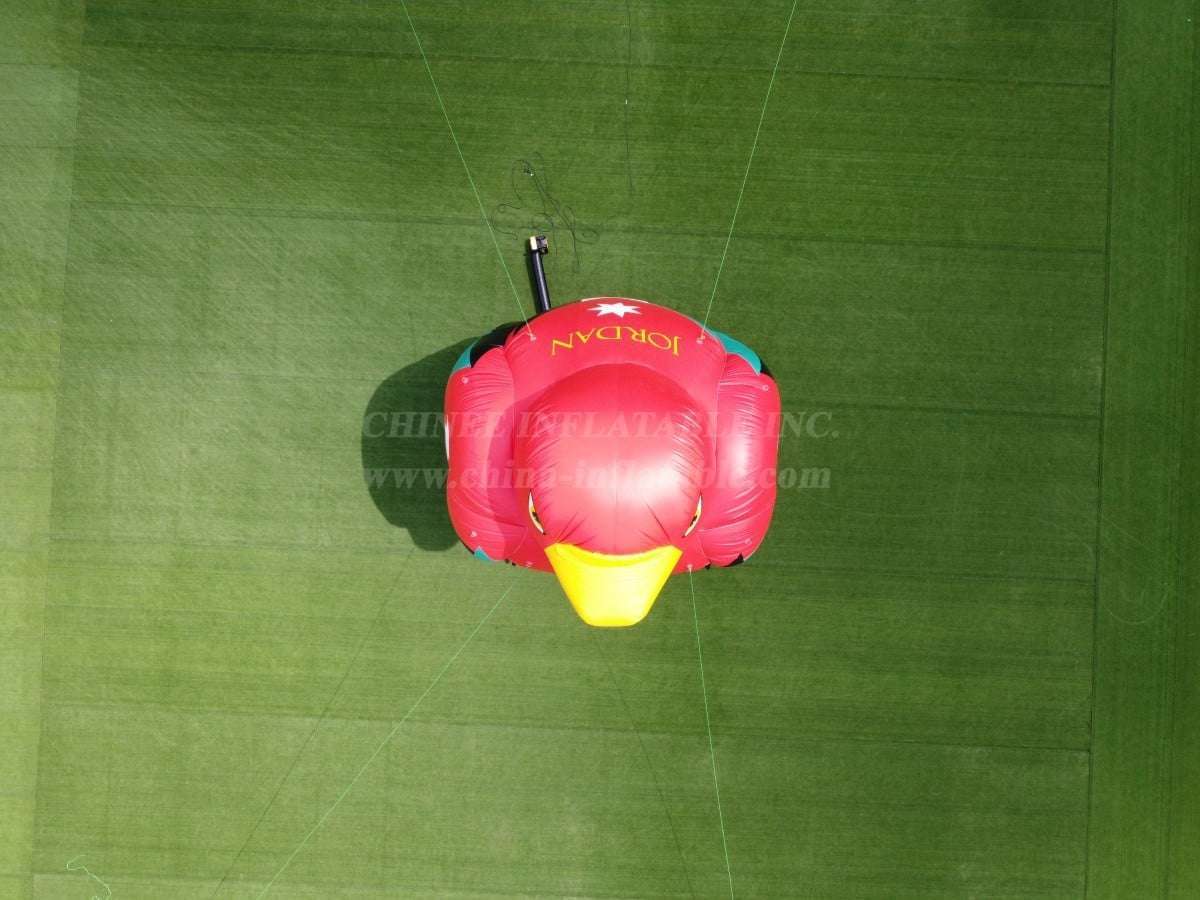 كارتون2-099 ب نسر الأردن