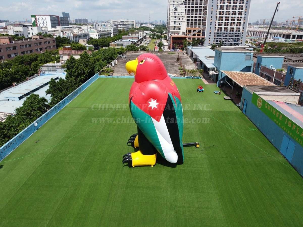 المطاطية المطاطية المخصصة