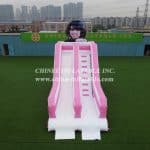 T8-2200 Custom Pink Slide