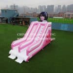 T8-2200 Custom Pink Slide - Image 2