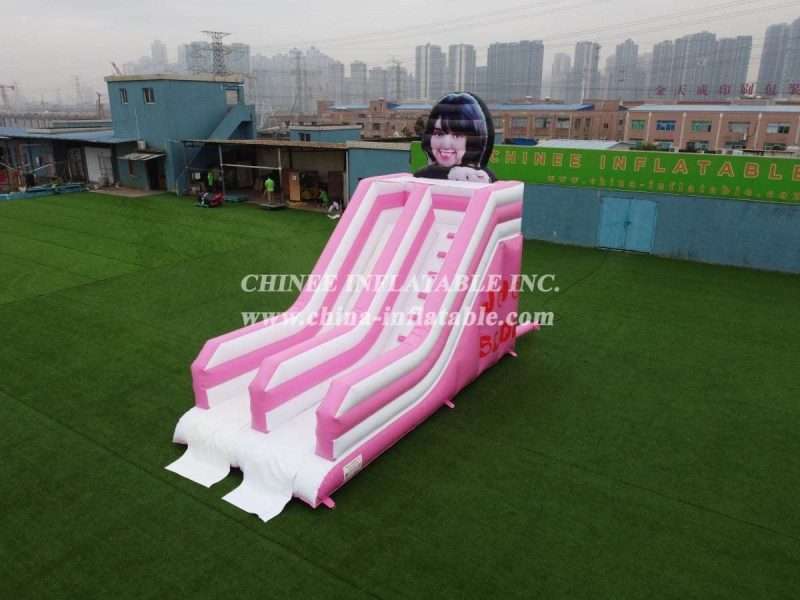 T8-2200 Custom Pink Slide - Image 2