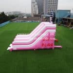 T8-2200 Custom Pink Slide - Image 6