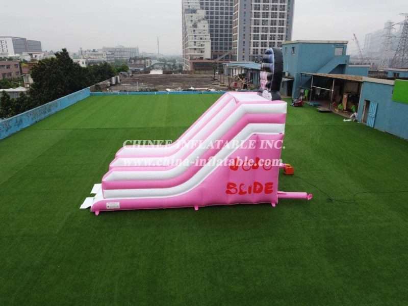 T8-2200 Custom Pink Slide - Image 6