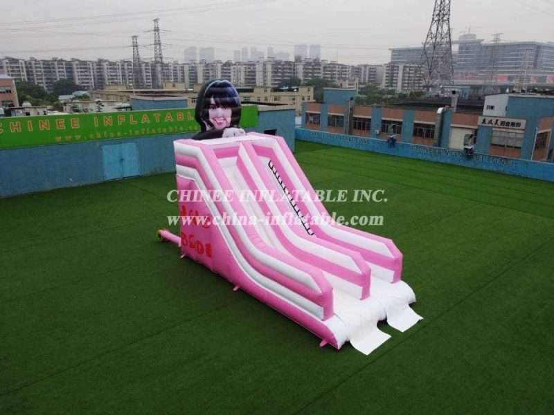 T8-2200 Custom Pink Slide - Image 3