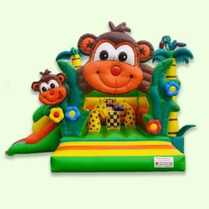 Inflatable Bouncer