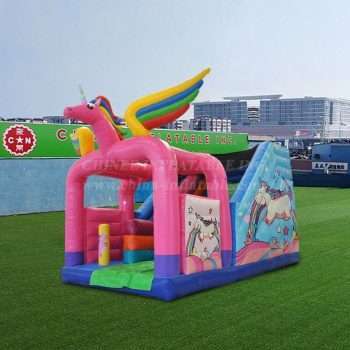 T8-4509 Unicorn slide