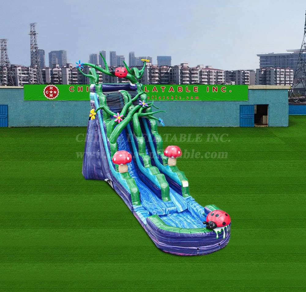 Inflatable Water Slide