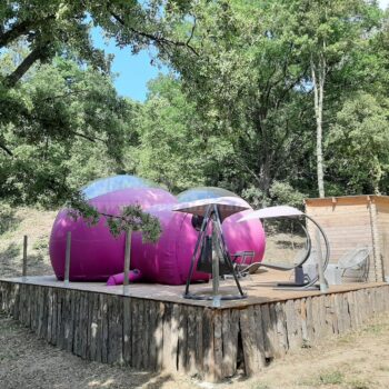 テント1-5024 パープルバブルテント