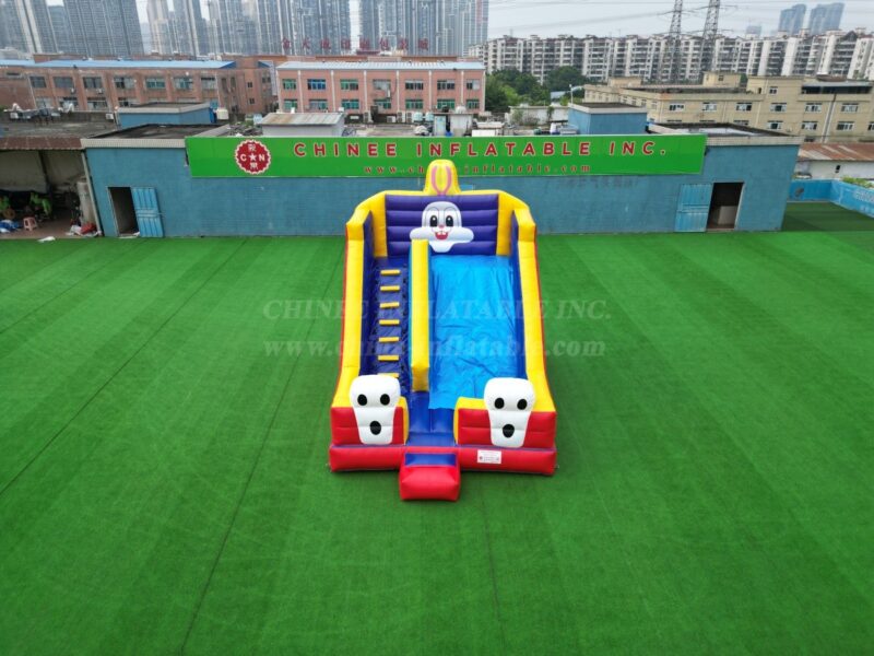 Inflatable Dry Slide