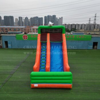 Inflatable Dry Slide