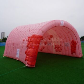 Tenda insuflável de forma visceral1-441C