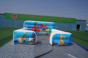 BP1-002 Bubble boarding Seaworld Maison gonflable