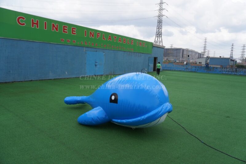 Dessins animés gonflables