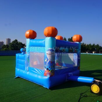 In Stock & Fast Delivery