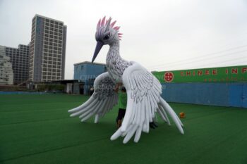 Cartoon2-151 Inflatable Bird