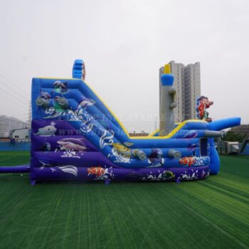 Inflatable Playground
