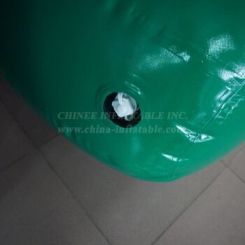 T11-2119 Giochi di sport acquatici