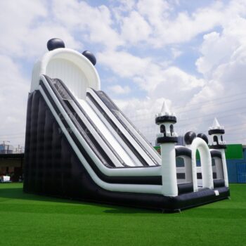 الشريحة العملاقة GS1-001C بالأبيض والأسود