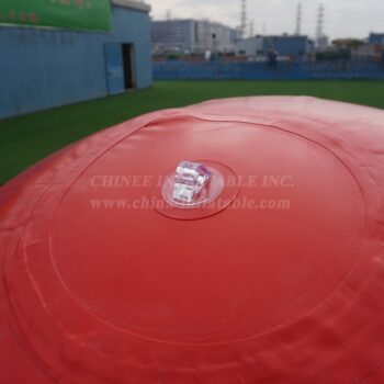 C1-328B Palla per ornamento natalizio