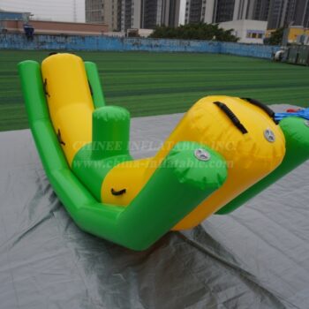 T10-233B Jeux aquatiques