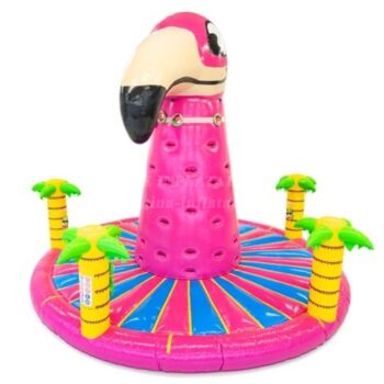 Climbing Sports & Velcro Wall