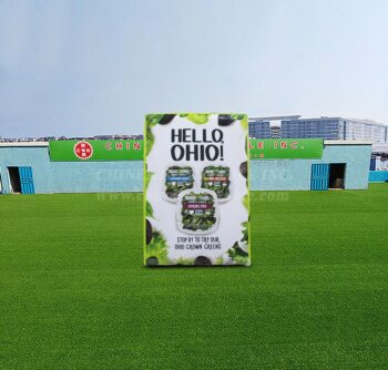 S4-458 Decorazione gonfiabile del partito dell'evento