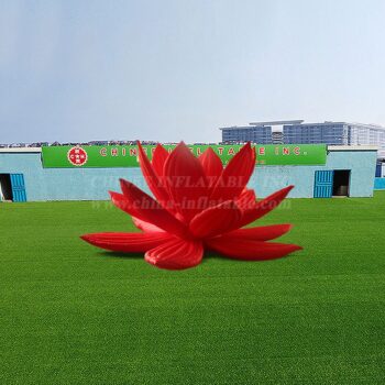 Event Party Decoration