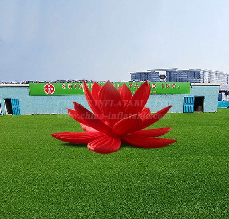 Event Party Decoration