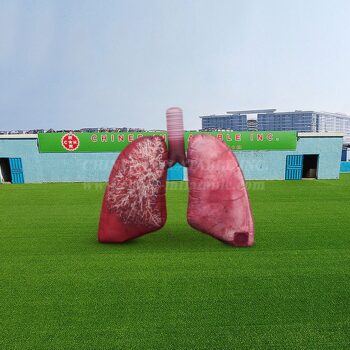 Modello gonfiabile Prodotto