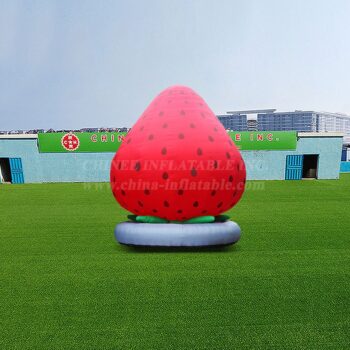 Event Party Decoration