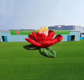 S4-576 Hibisco insuflável