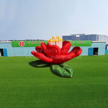 Event Party Decoration