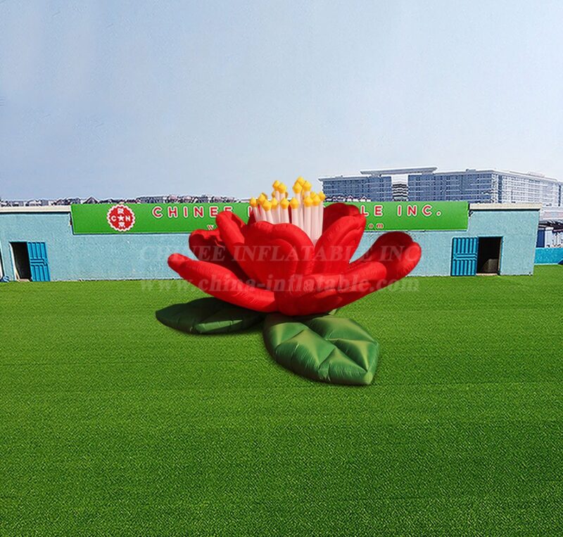 Evento Decoração de festas