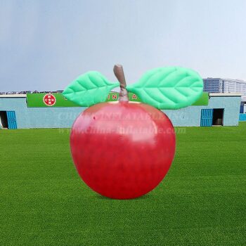 Inflatable Model Product