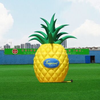 Inflatable Model Product