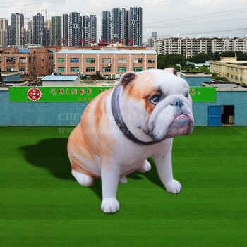 Inflatable Model Product