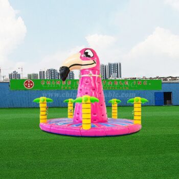 Climbing Sports & Velcro Wall