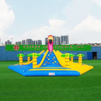 Climbing Sports & Velcro Wall