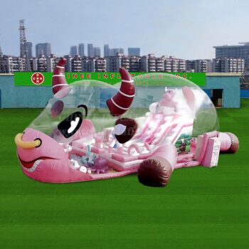 Inflatable Funcity