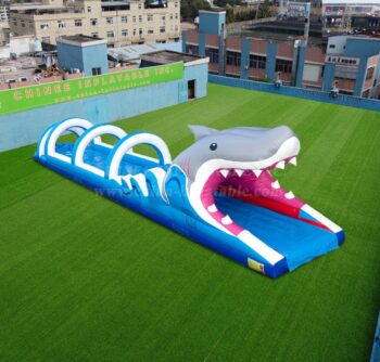 T8-4607 القرش المنزلق البطني T8-4607