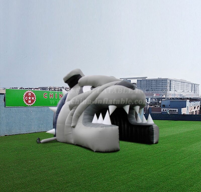 インフレータブル・パビリオン